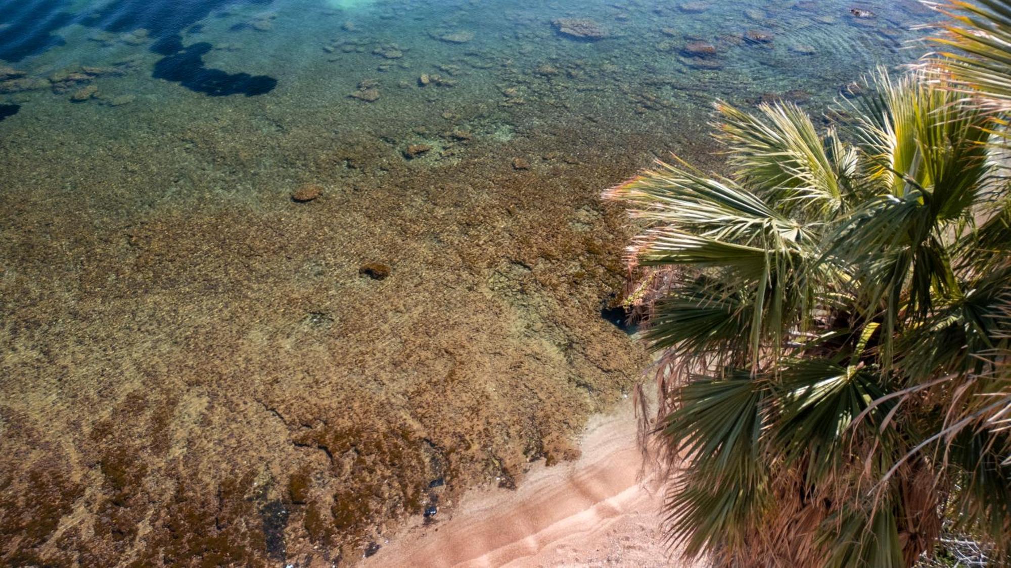 La Casetta Sul Mare กัสเตลลัมมาเร เดล โกลโฟ ภายนอก รูปภาพ